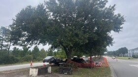 Live Oak trees on South 17th St. being prepared for relocation.