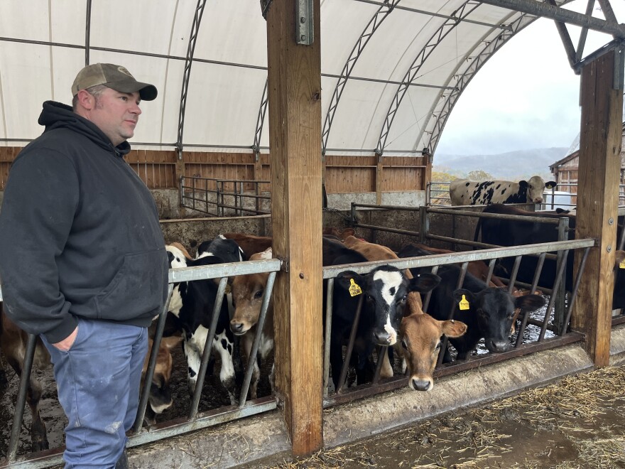 A man stands next to a row of cows.