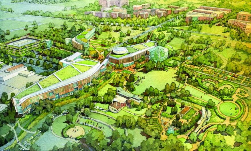 Arboretum cultural district concept plan by Ayers Saint Gross.