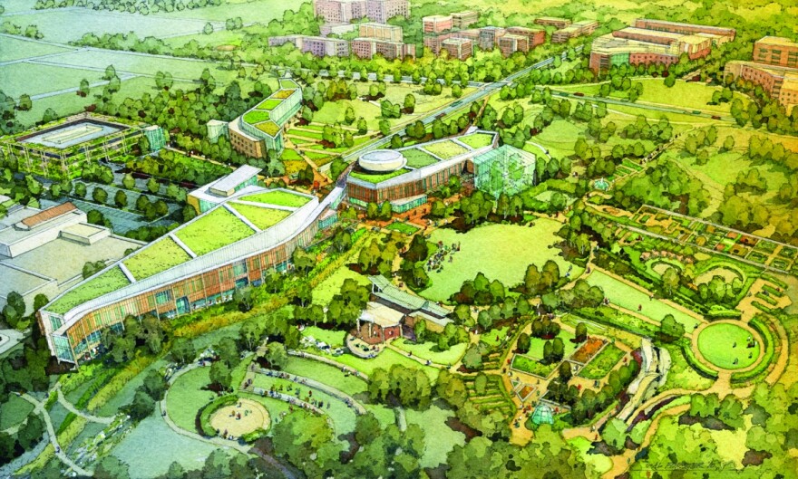 Arboretum cultural district concept plan by Ayers Saint Gross.