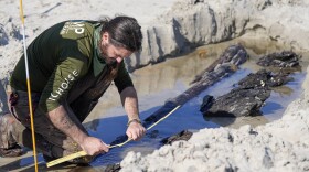 Archaeologist Christopher McCarron takes measurements of a structure exposed in the sand, Tuesday, Dec. 6, 2022, in Daytona Beach Shores, Fla. Severe beach erosion caused by two late-season hurricanes helped partially uncover what appears to be part of an 80-foot-long (24-meters) ship in the sand on Daytona Beach Shores, officials said.(AP Photo/John Raoux)