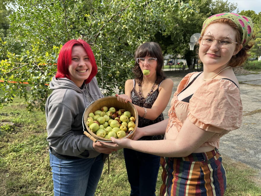 Kansas City Academy students Peper Wilson, Alex Ledford, and Nova Henry are showing off a basket of jujubes freshly picked from trees the Giving Grove helped the school plant and maintain.