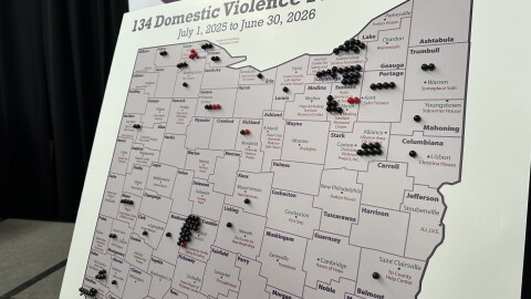 Pins mark domestic violence deaths around the state between July 2025 and June 2026.