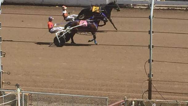Harness racing at the Illinois State Fair in Springfield.