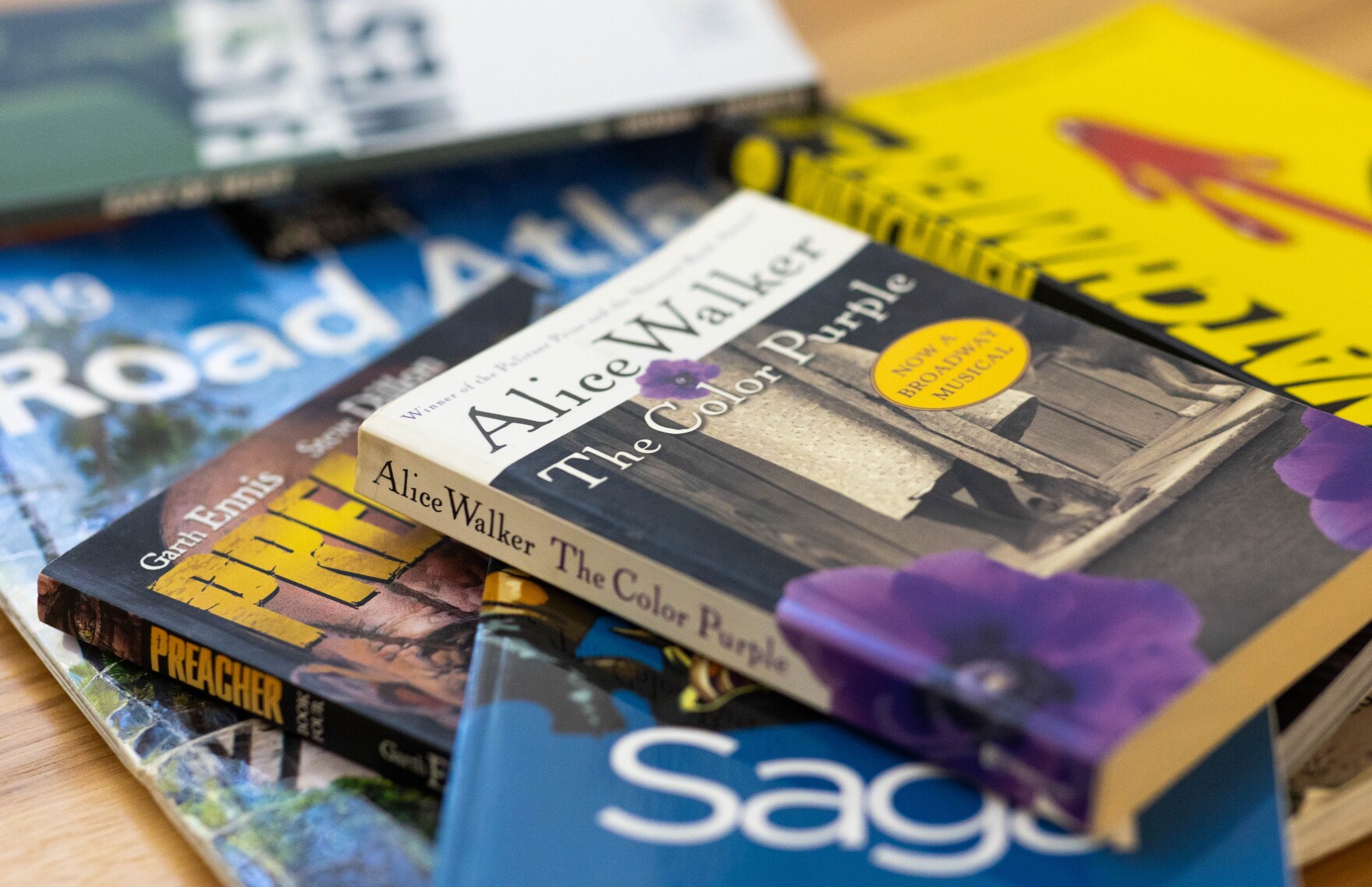 Yes to ‘Mein Kampf.’ No to ‘The Color Purple.’ Which books are banned