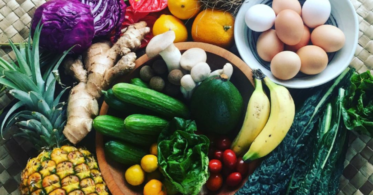 Empowering Local Agriculture: How Legislature’s Support Boosts Food Security for Our Communities