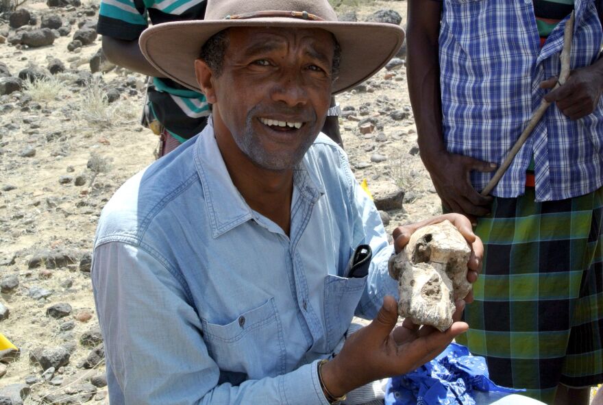 Yohannes Haile-Selassie with the “MRD” at the dig site cranium. [Courtesy Cleveland Museum of Natural History]