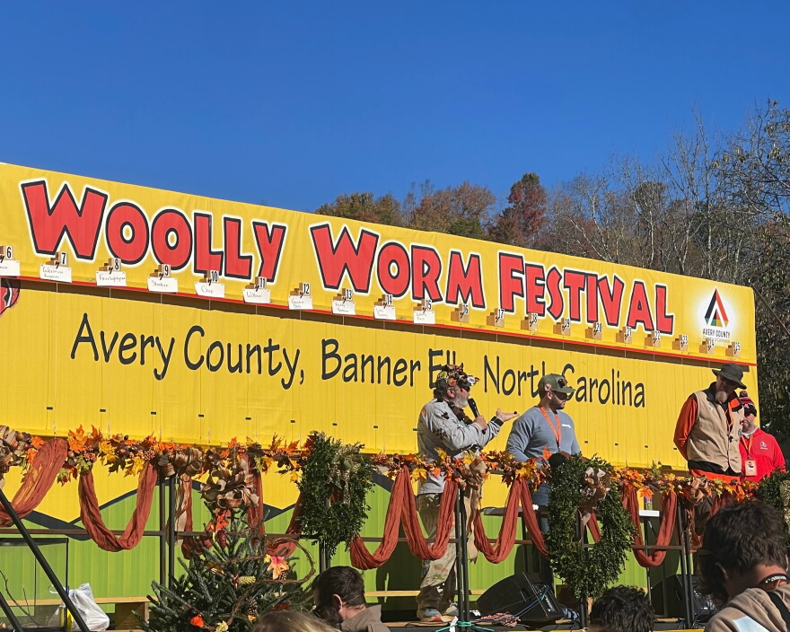 Woolly Worm Festival Worm Race in Banner Elk, NC