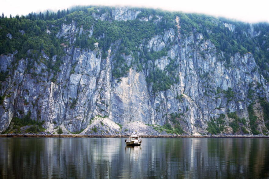 Algal blooms are impacting Glacier Bay National Park. (Chris Bentley/Here & Now)