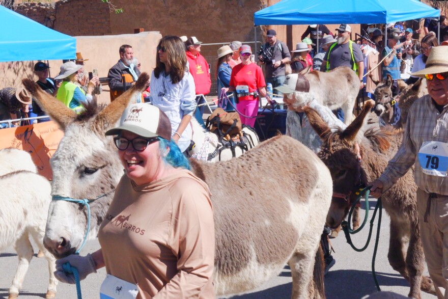 Racers take off from the starting line at the Turquoise Trail Burro Race