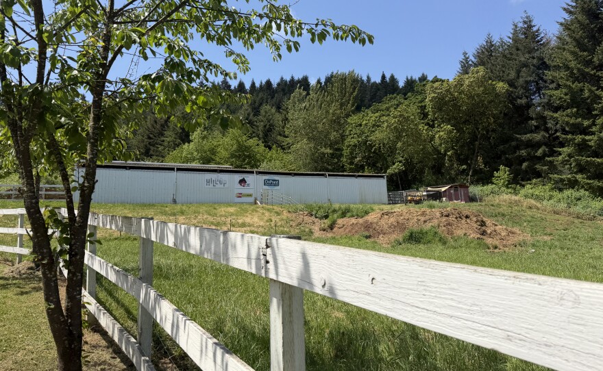 The grazing pasture at Bit By Bit, May 8, 2026.