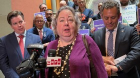 New York Senate Finance Committe Chair Liz Krueger speaks Thursday, June 6, 2024, to the media. Krueger is one of several Democrats angered by Gov. Kathy Hochul's decision to halt New York City's congestion pricing plan.