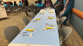 Virginia Beach high schoolers learned about technical jobs in health care at a Sentara careers camp. (Image by Doug Boynton)