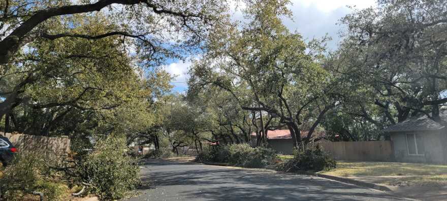 Piles of broken branches are stacked up along a tree-lined street. 