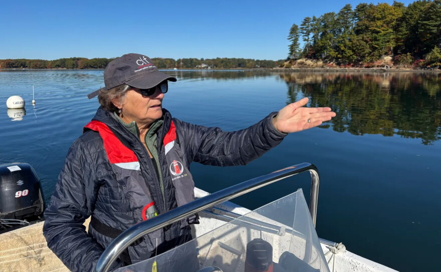 Melissa Paly, the Conservation Law Foundation's Great Bay-Piscataqua waterkeeper, points to commercial oyster farms in Little Bay within the Great Bay estuary on Monday, Oct. 19, 2026. (Portsmouth Herald photo)