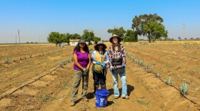From left, UC faculty member Srabani Das, research assistant Kavya Laxmisagara Sagar, and UC Merced doctoral student Calysta Ownby stand in a test plot of agave.