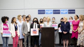 Wendy Davis (at podium) and other Texas Democrats outlined their requests to the White House at a news conference Saturday morning.