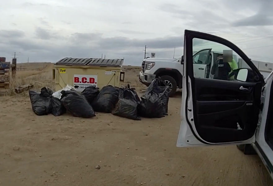 Trash bags near a dumpster
