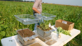A rainfall simulator demonstration in a field of cover crops in Clark County