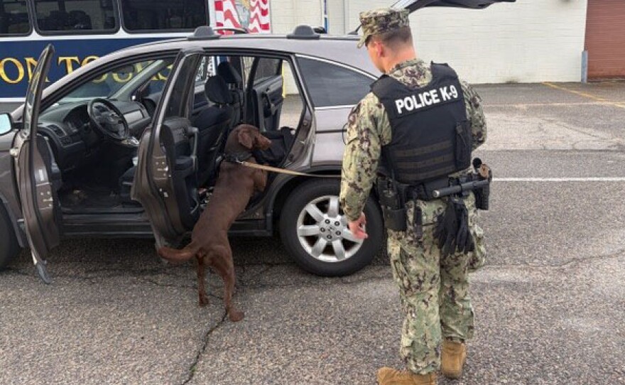 A dog helps screen a vehicle at the gate of Naval Station Norfolk in mid-March. The dogs are trained to detect explosives, narcotics, and other prohibited items.