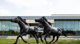 University of Texas at Arlington President Jennifer Cowley announced the buyout options in a welcome back email to faculty and staff on Jan. 12.