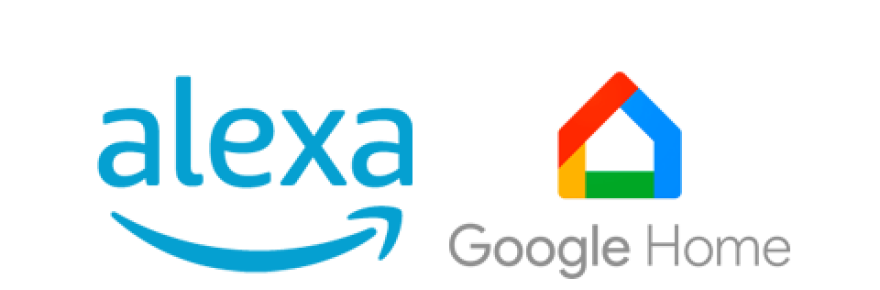 Smart Speaker options