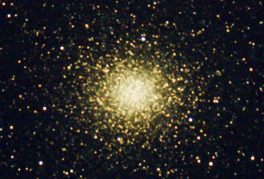 Dr. Dave John Kreiger captures the Omega SS from Gulf Shores, Alabama with his See Star S 50.