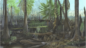 A climate of the past: Carboniferous landscape ~300 Mya