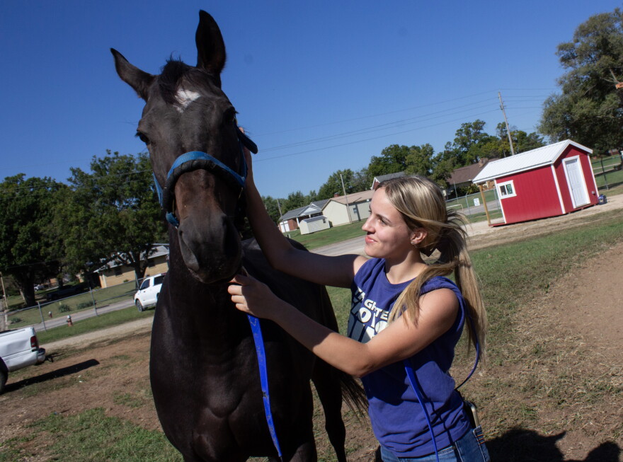 Cady Stortzum looks after her horse E.L.'s Legacy at the Eureka Downs horse racing track. She will race four horses at the re-opened track this month.