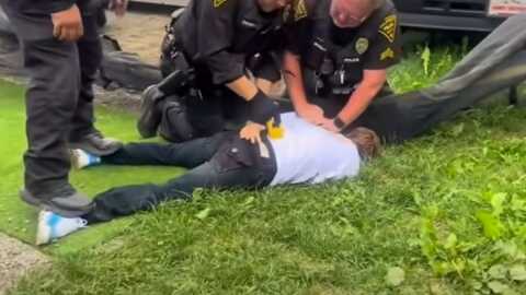 A screen grab of a video posted on TikTok on Aug. 24, 2025 appears to show a Palmer Police encounter at the Alaska State Fair in Palmer.