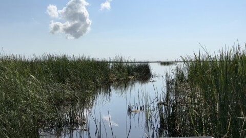 Miami-Dade County's land conservation program is in jeopardy as it faces ongoing budget cuts.