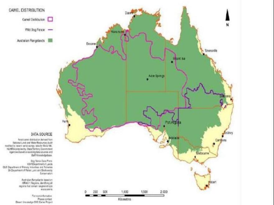 The lighter purple line is the area in which camels roam over Australia.