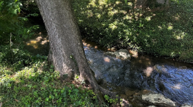 The City of Lexington's annual stormwater quality incentive grants are funded by the city's water quality management fee.