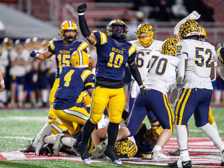 Springfield High School junior linebacker Kyron Dolby celebrates after a making a tackle during a Division I state semifinal game against Cincinnati Moeller on Friday, Nov. 24 at Piqua Alexander Stadium. The Wildcats won 26-19 in overtime to advance to the Division I state championship game for the third straight season.