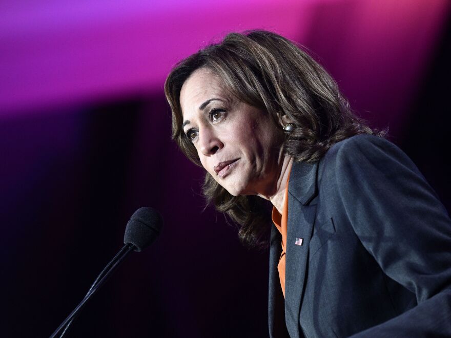 US Vice President Kamala Harris speaks at the EMILY's List conference and gala in Washington, D.C. on Tuesday.