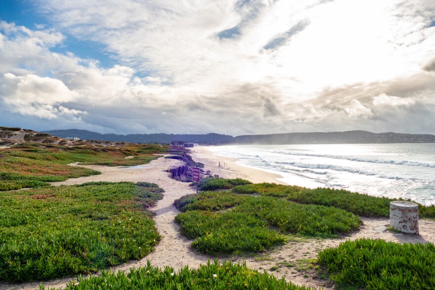Photo shows Fort Ord Dunes State Park on a partly-cloudy day.
