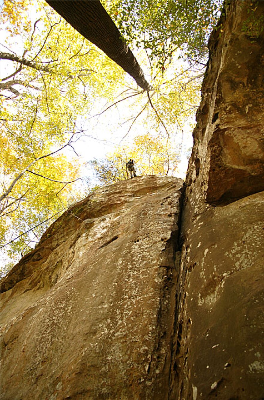 Ferne Clyffe State Park, marked by limestone bluffs, is in Johnson County.