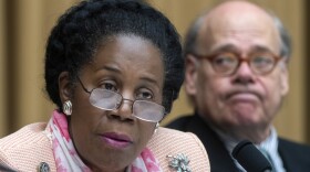 U.S. Rep. Sheila Jackson Lee, D-Houston, is stepping down from her two most powerful roles within congressional and House Democratic circles.