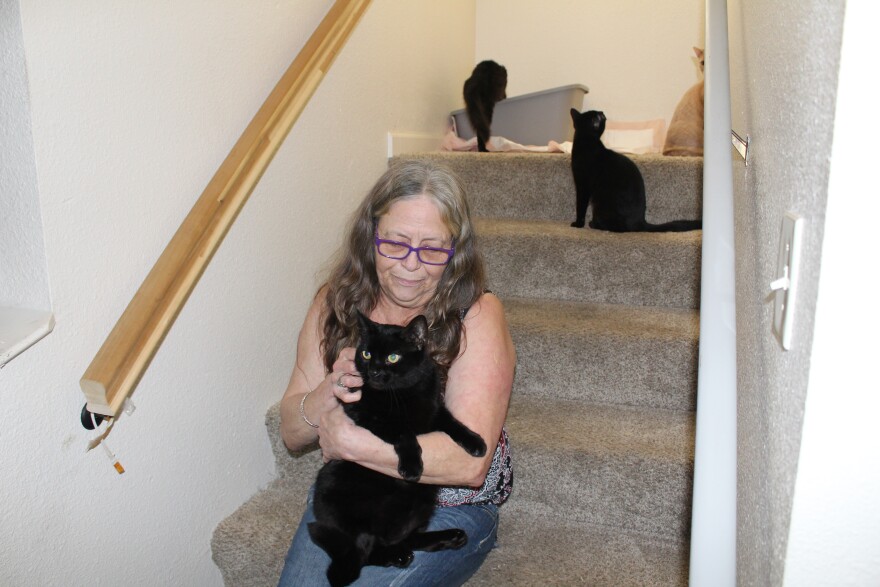A woman wearing jeans and a patterned tank top holds a black cat while sitting on carpeted stairs. Three other cats are in the background higher up on the staircase.