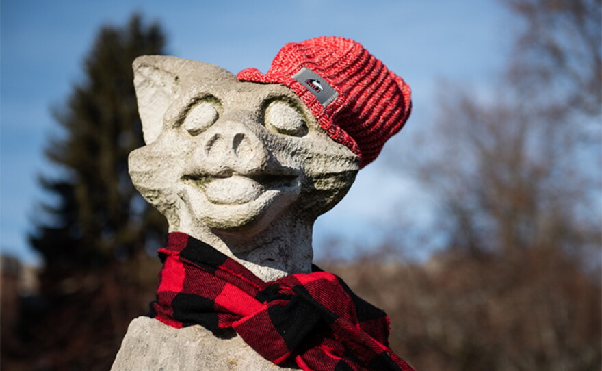 Olive staying warm and stylish with NIU's winter apparel, Dec. 2019.