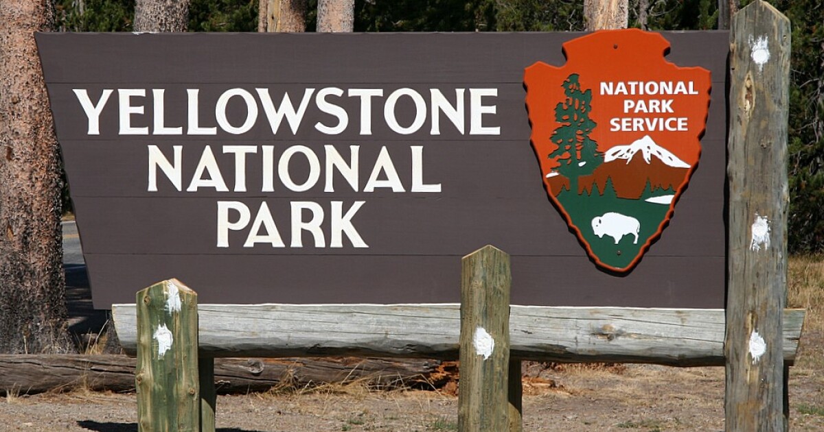Yellowstone National Park Press Release | Montana Public Radio