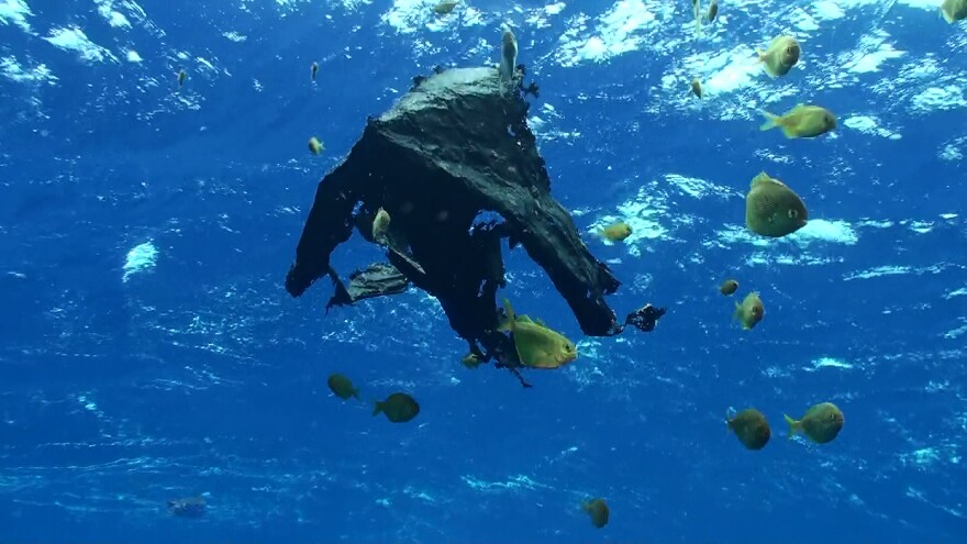 A plastic bag floating in the ocean with fish swimming by.