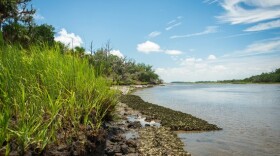 Oyster harvesting closes in the summer when oysters spawn.