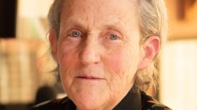 Dr. Temple Grandin is a scientist, author, and professor whose work in animal behavior has transformed livestock handling around the world. Her life and thinking were introduced to a global audience through the HBO film “Temple Grandin“, starring Claire Danes, and through her books, including “Thinking in Pictures“, which helped change how autism is understood by clinicians, families, and the public.