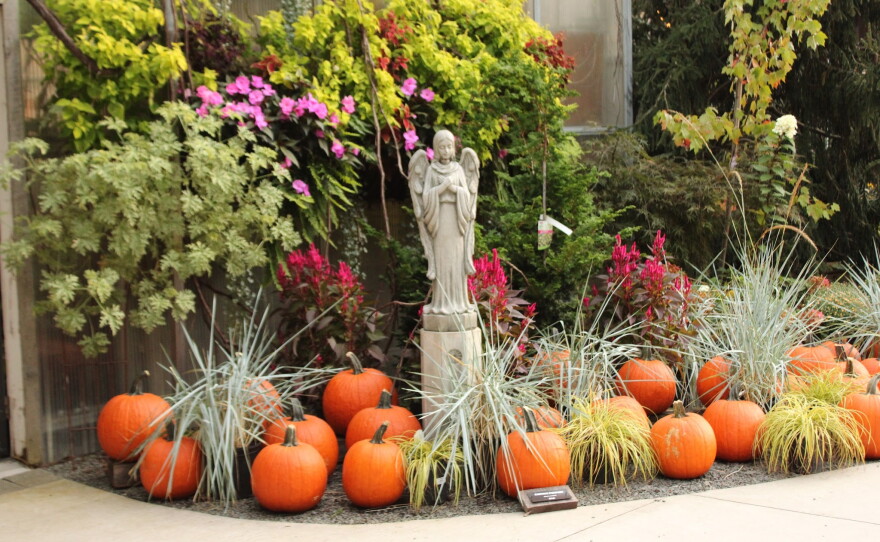 The entrance to the greenhouse at Creekside Gardens is decorated with a pumpkin display. Pumpkins can be seen throughout the entirety of the facility.