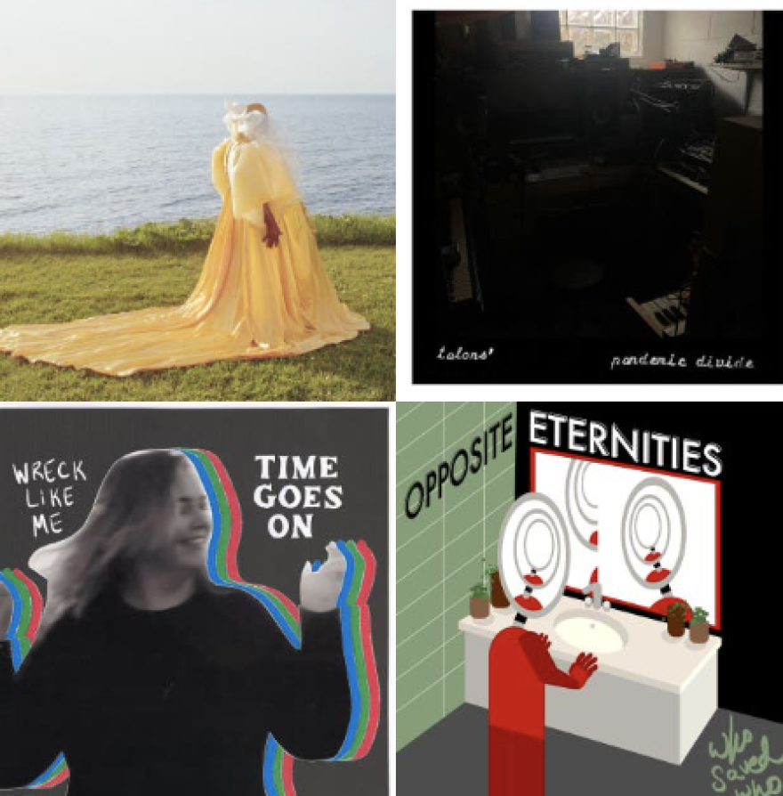 The past year brought an uptick in the amount of new music released by independent artists across Northeast Ohio. Albums from Kyle Kidd, Talons', Wreck Like Me and Who Saved Who were among the most notable, according to Shuffle's Amanda Rabinowitz and Brittany Nader.