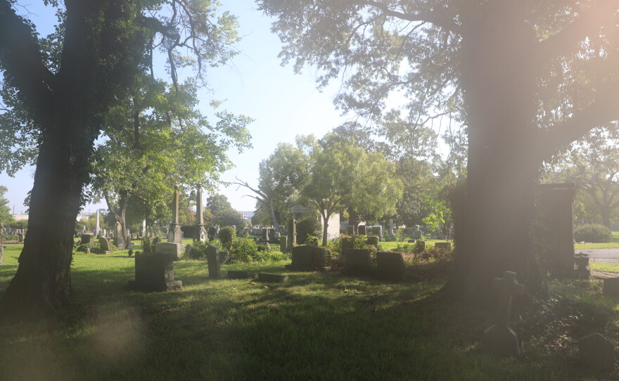 Graves at Norfolk's Elmwood Cemetery in September 2026.