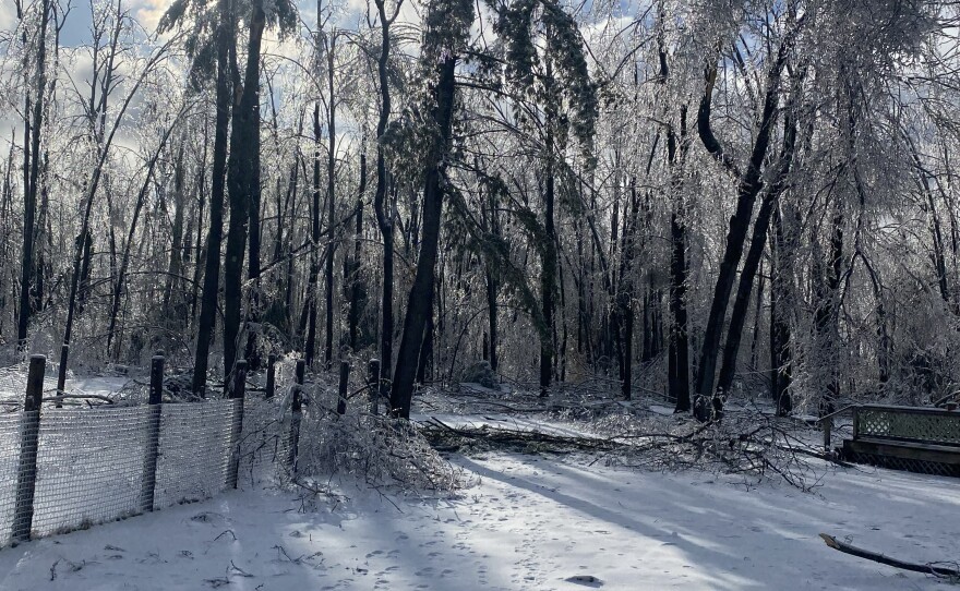 Fallen tree limbs damaged garden fence at Hearts Pasture Farm in Alanson, MI.
