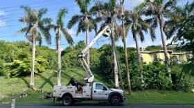 Pictured: WAPA line crew work on a pole in St. Croix