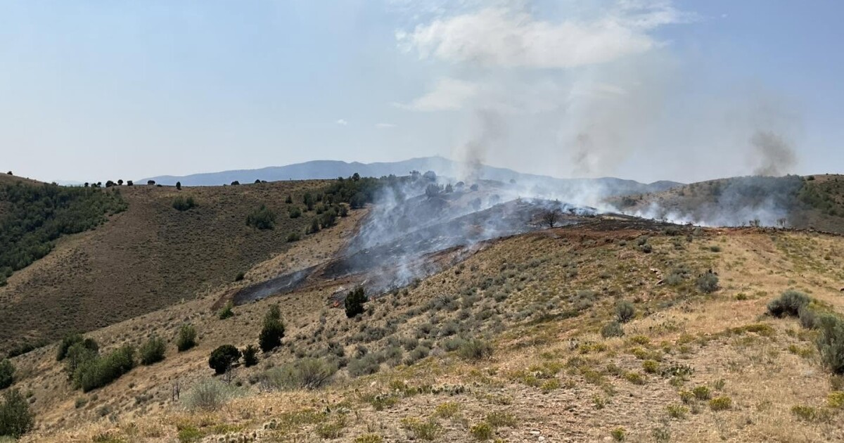 12-acre wildfire sparks west of Echo Reservoir in northern Summit County